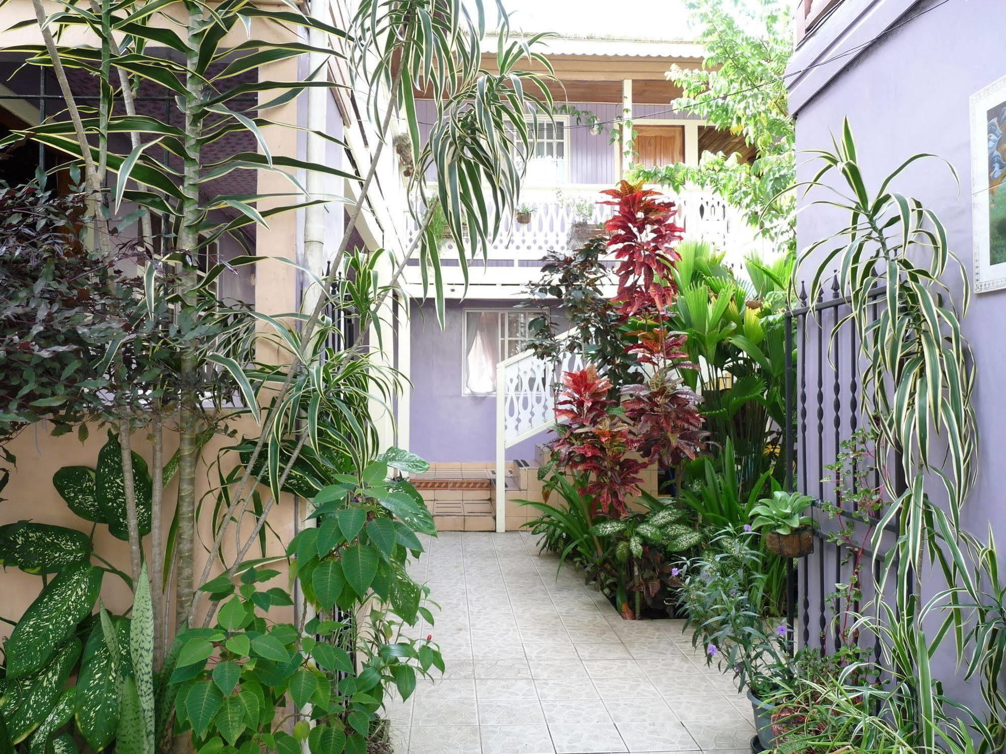 Hotel Posada Isla Chica Bocas del Toro Ngoại thất bức ảnh